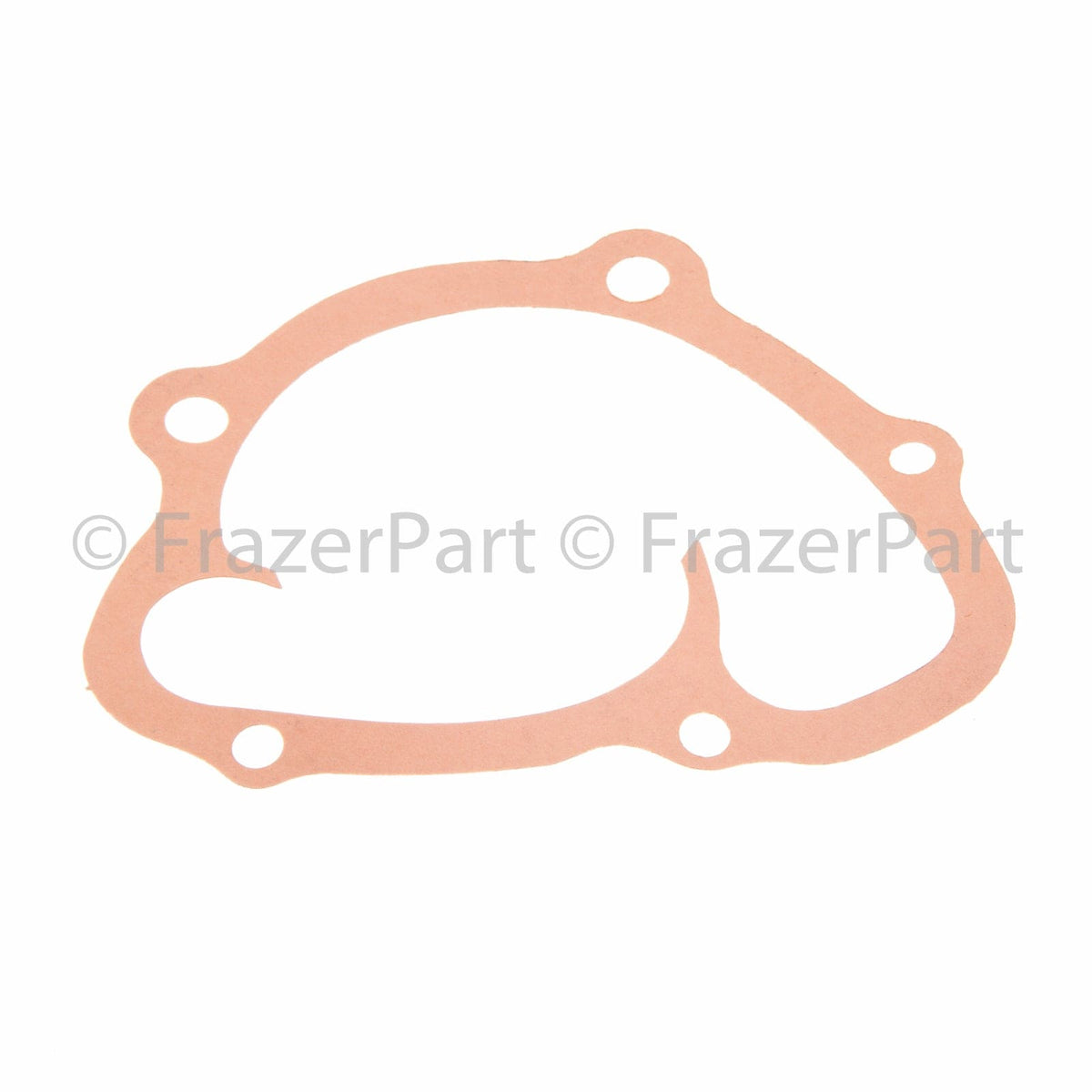 924 (2.0L incl Turbo) water pump gasket & seal